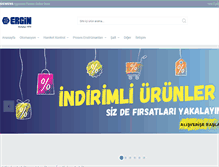Tablet Screenshot of ergin.com.tr